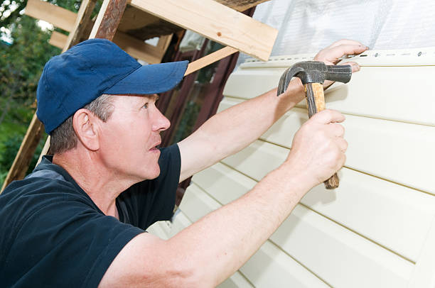 Best Custom Trim and Detailing for Siding  in Macarthur, WV